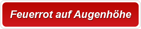 Feuerrot auf Augenhöhe